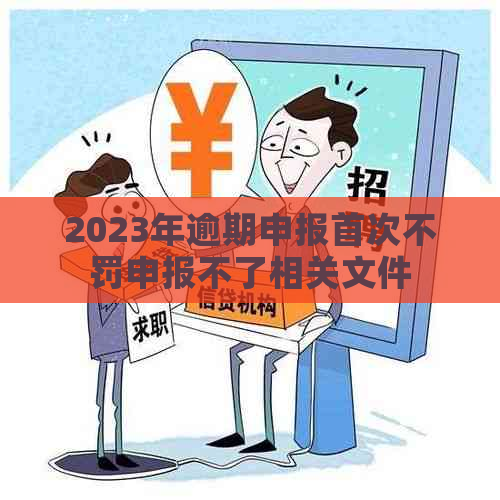 2023年逾期申报首次不罚申报不了相关文件