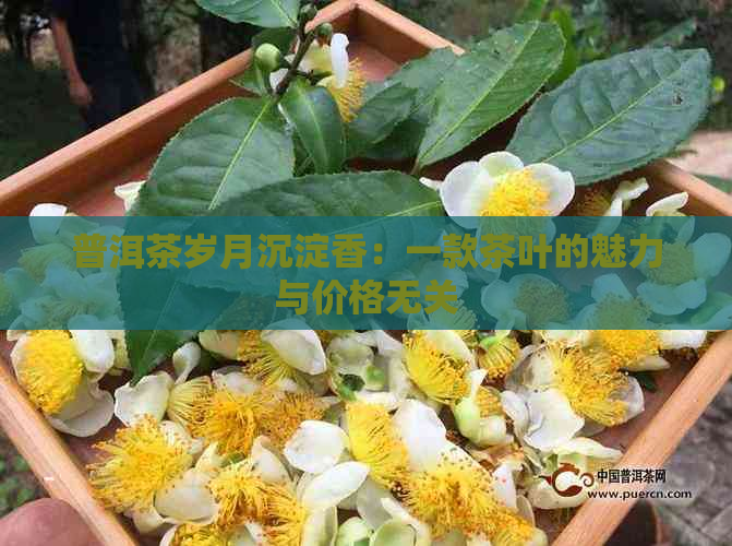 普洱茶岁月沉淀香：一款茶叶的魅力与价格无关