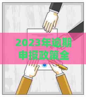 2023年逾期申报政策全面解读：首次不罚如何定义？申报期限长了吗？