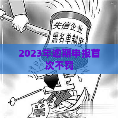 2023年逾期申报首次不罚