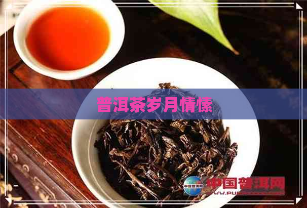 普洱茶岁月情愫