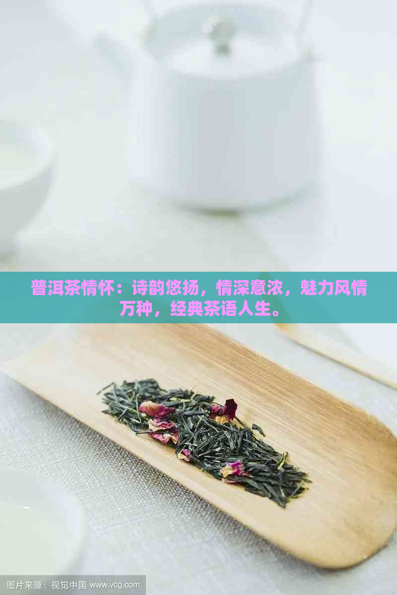 普洱茶情怀：诗韵悠扬，情深意浓，魅力风情万种，经典茶语人生。