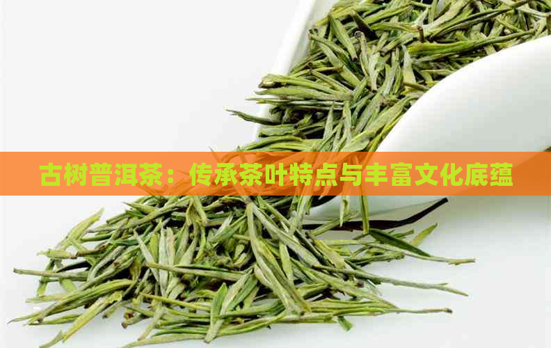 古树普洱茶：传承茶叶特点与丰富文化底蕴