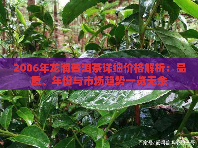 2006年龙润普洱茶详细价格解析：品质、年份与市场趋势一览无余