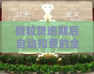 微粒贷逾期后自动扣费的全额计算方法及相关疑问解答