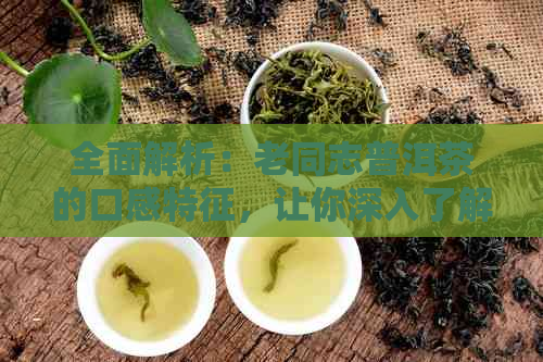 全面解析：老同志普洱茶的口感特征，让你深入了解这款茶叶的魅力所在