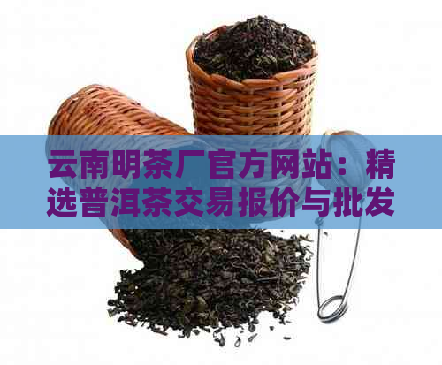 云南明茶厂官方网站：精选普洱茶交易报价与批发价格指南