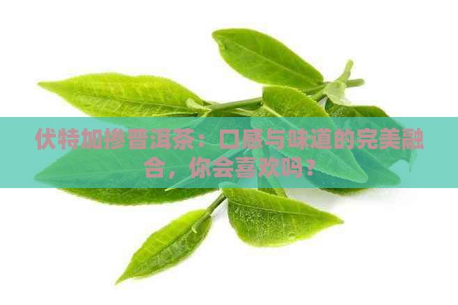 伏特加掺普洱茶：口感与味道的完美融合，你会喜欢吗？