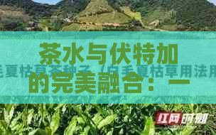 茶水与伏特加的完美融合：一款令人醉的好喝饮料