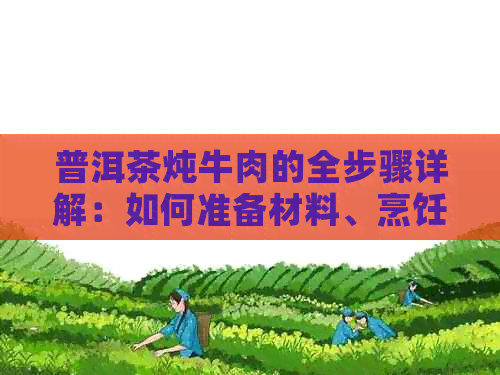 普洱茶炖牛肉的全步骤详解：如何准备材料、烹饪时间以及营养价值