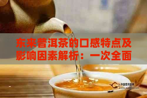 东来普洱茶的口感特点及影响因素解析：一次全面了解普洱茶品鉴的过程