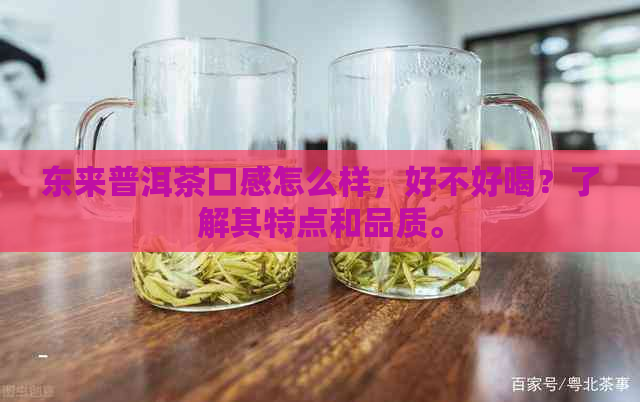 东来普洱茶口感怎么样，好不好喝？了解其特点和品质。