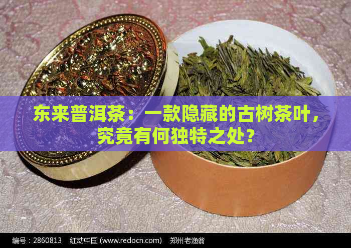 东来普洱茶：一款隐藏的古树茶叶，究竟有何独特之处？