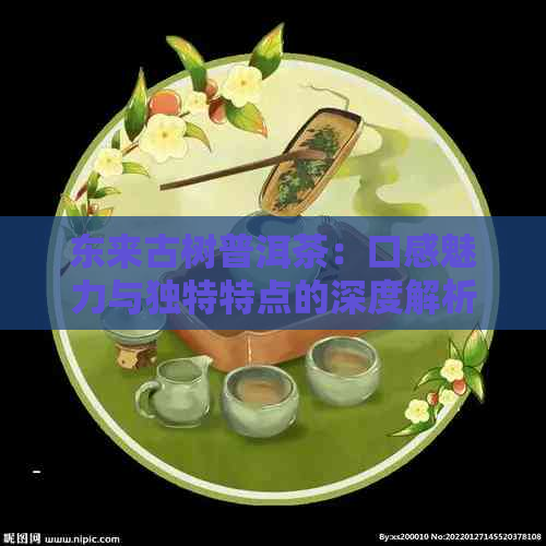 东来古树普洱茶：口感魅力与独特特点的深度解析