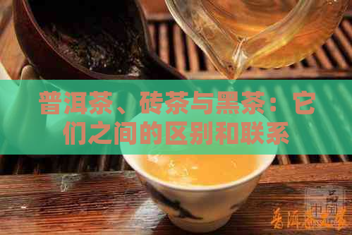 普洱茶、砖茶与黑茶：它们之间的区别和联系