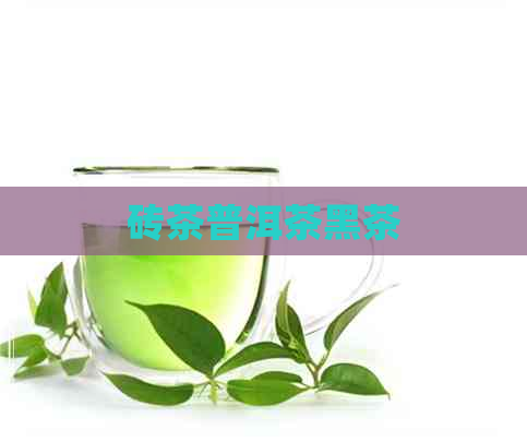 砖茶普洱茶黑茶