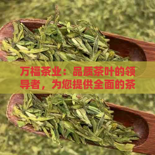 万福茶业：品质茶叶的领导者，为您提供全面的茶文化体验