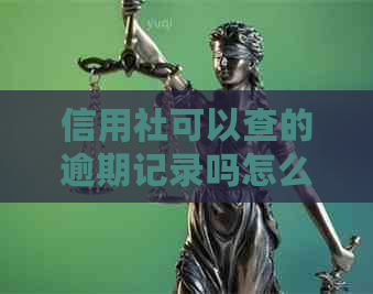 信用社可以查的逾期记录吗怎么查：查询方法与步骤解析