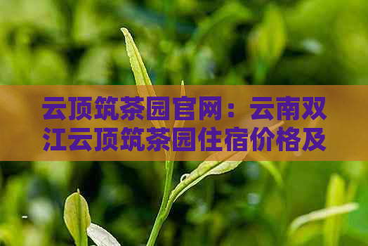 云顶筑茶园官网：云南双江云顶筑茶园住宿价格及怎么样？