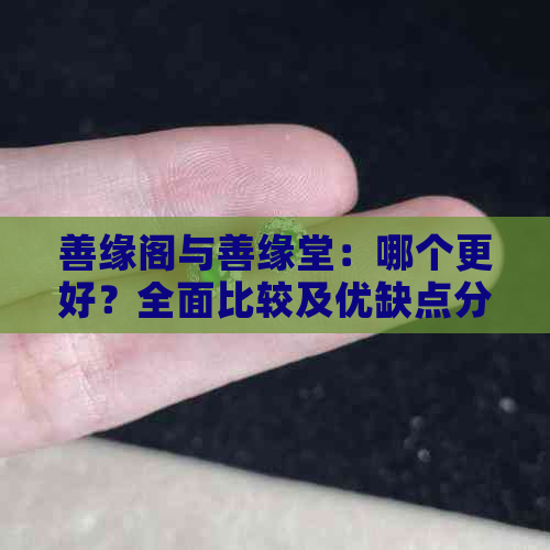 善缘阁与善缘堂：哪个更好？全面比较及优缺点分析