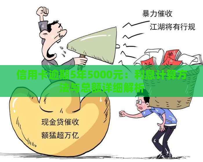 信用卡逾期5年5000元：利息计算方法与总额详细解析