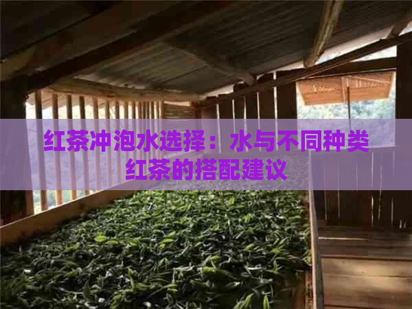 红茶冲泡水选择：水与不同种类红茶的搭配建议