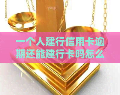 一个人建行信用卡逾期还能建行卡吗怎么办如何办理及解决逾期问题？