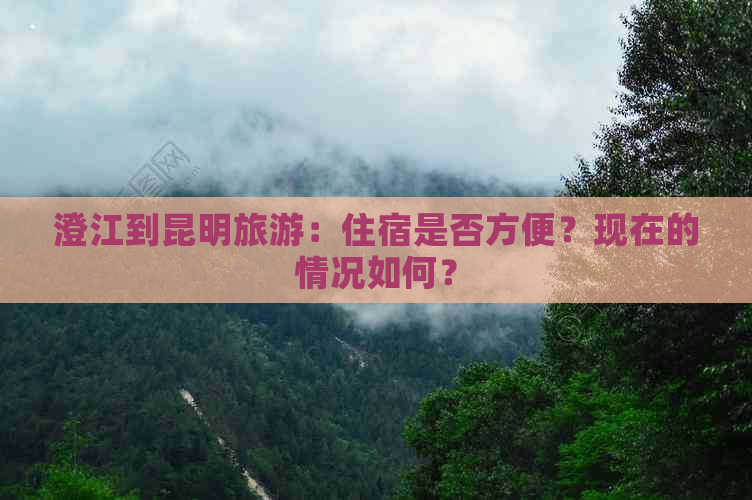 澄江到昆明旅游：住宿是否方便？现在的情况如何？