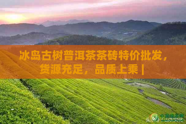 冰岛古树普洱茶茶砖特价批发，货源充足，品质上乘 | 