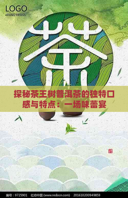 探秘茶王树普洱茶的独特口感与特点：一场味蕾宴