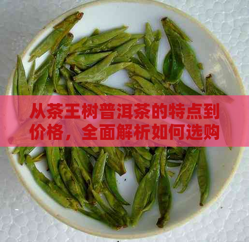 从茶王树普洱茶的特点到价格，全面解析如何选购和品鉴优质普洱茶