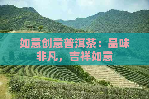 如意创意普洱茶：品味非凡，吉祥如意