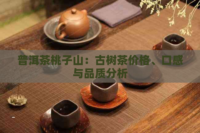 普洱茶桃子山：古树茶价格、口感与品质分析