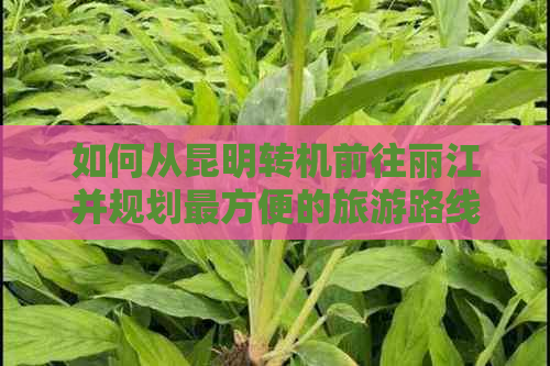 如何从昆明转机前往丽江并规划最方便的旅游路线