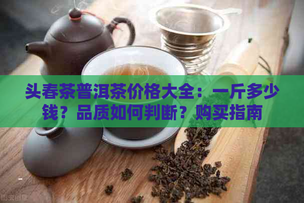 头春茶普洱茶价格大全：一斤多少钱？品质如何判断？购买指南