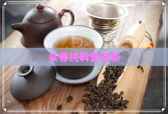 头春纯料普洱茶