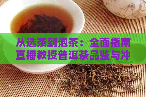 从选茶到泡茶：全面指南直播教授普洱茶品鉴与冲泡技巧