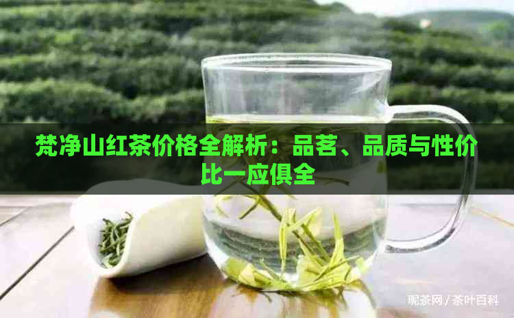 梵净山红茶价格全解析：品茗、品质与性价比一应俱全