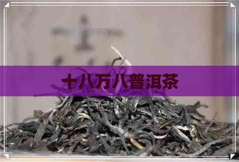 十八万八普洱茶