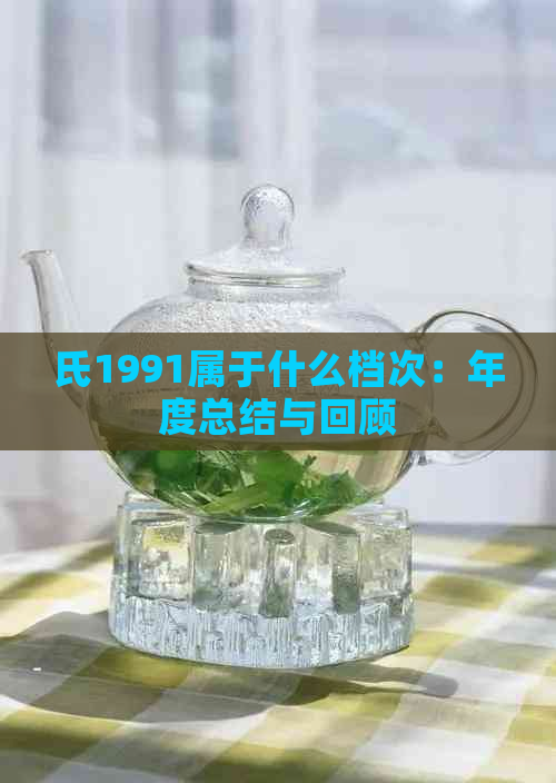 氏1991属于什么档次：年度总结与回顾