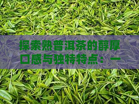 探索熟普洱茶的醇厚口感与独特特点：一篇全面解析