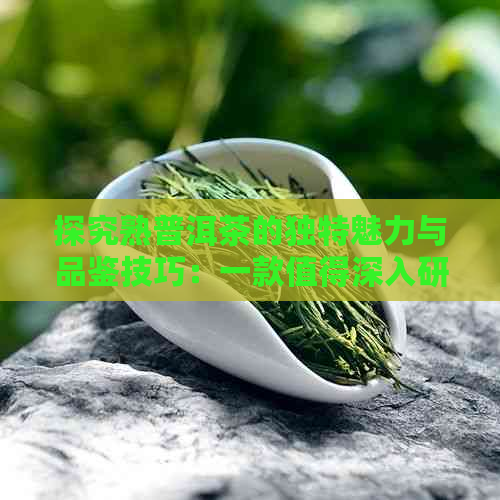 探究熟普洱茶的独特魅力与品鉴技巧：一款值得深入研究的山茶植物之味