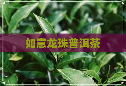 如意龙珠普洱茶