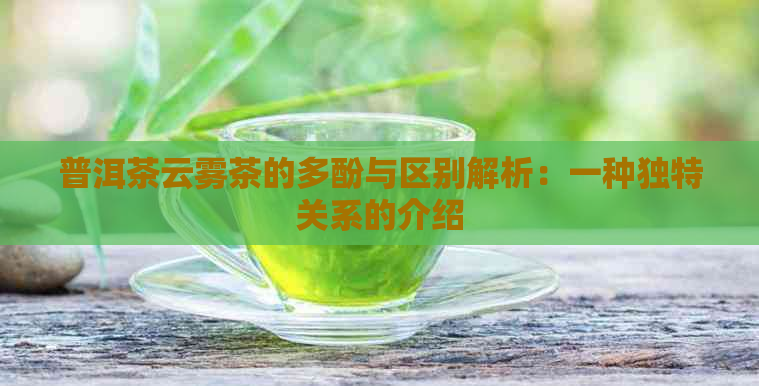 普洱茶云雾茶的多酚与区别解析：一种独特关系的介绍