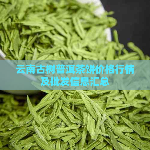 云南古树普洱茶饼价格行情及批发信息汇总