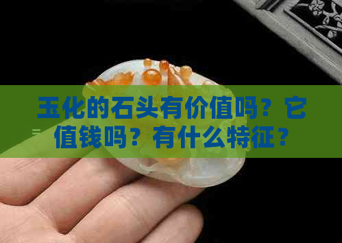 玉化的石头有价值吗？它值钱吗？有什么特征？