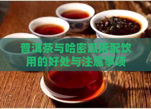 普洱茶与哈密瓜搭配饮用的好处与注意事项