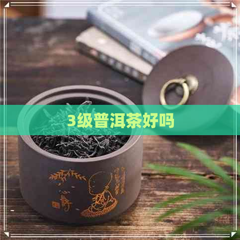 3级普洱茶好吗