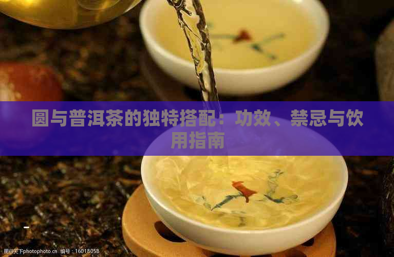 圆与普洱茶的独特搭配：功效、禁忌与饮用指南