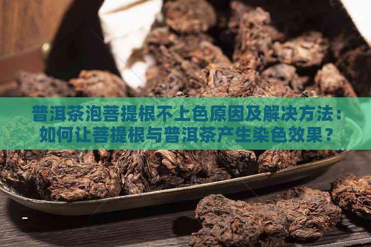 普洱茶泡菩提根不上色原因及解决方法：如何让菩提根与普洱茶产生染色效果？